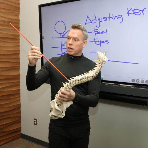 z adjust